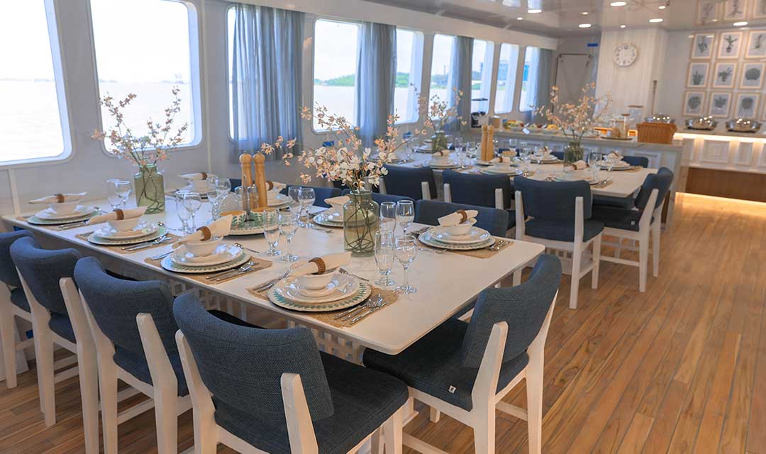 Social Areas Slide Galaxy Diver II - Galaxy Cruises