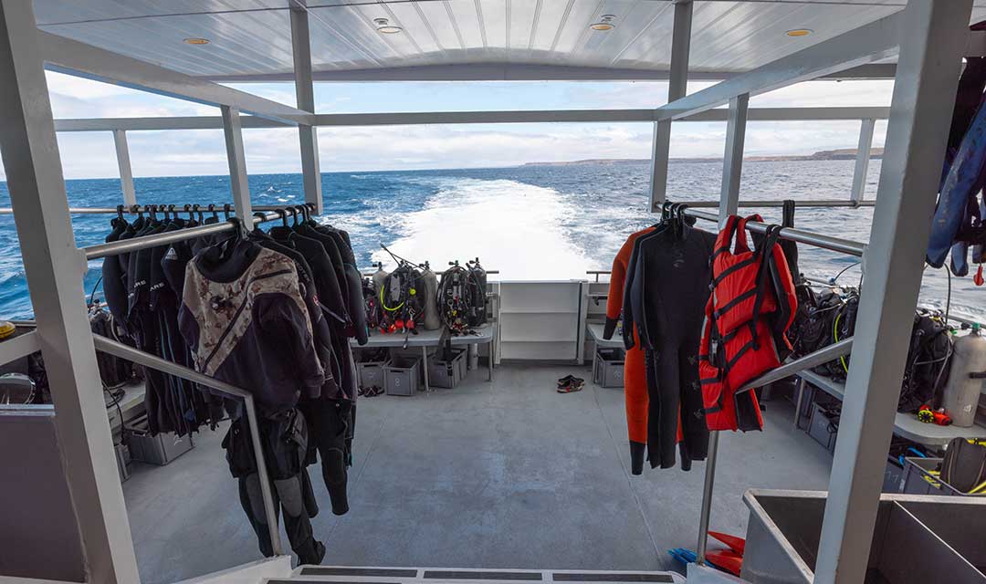 Diving Platform Slides Galaxy Diver II - Galaxy Cruises